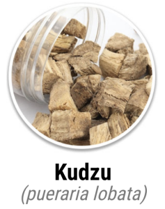 Kudzu