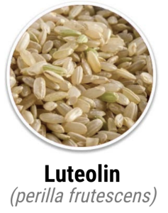 Luteolin