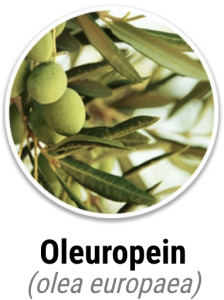 Oleuropein