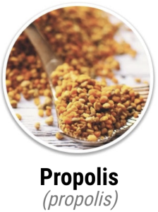 Propolis
