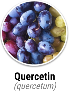 Quercetin