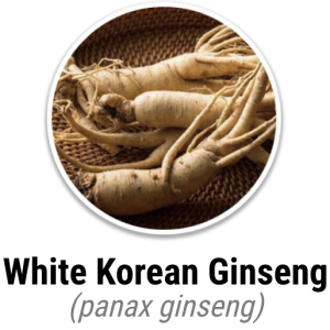 White Korean Ginseng