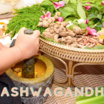 7 Health Benefits of Ashwagandha